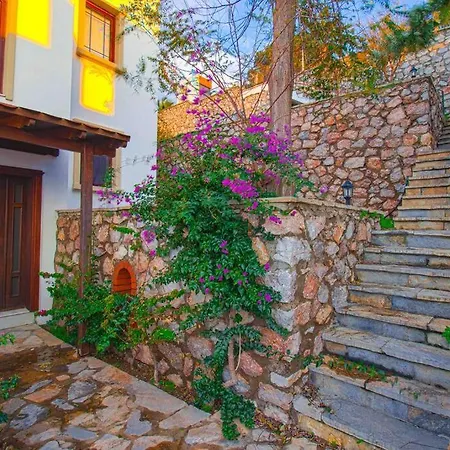 Villa Seba; Yalikavakta Oezel Havuzlu 4+1